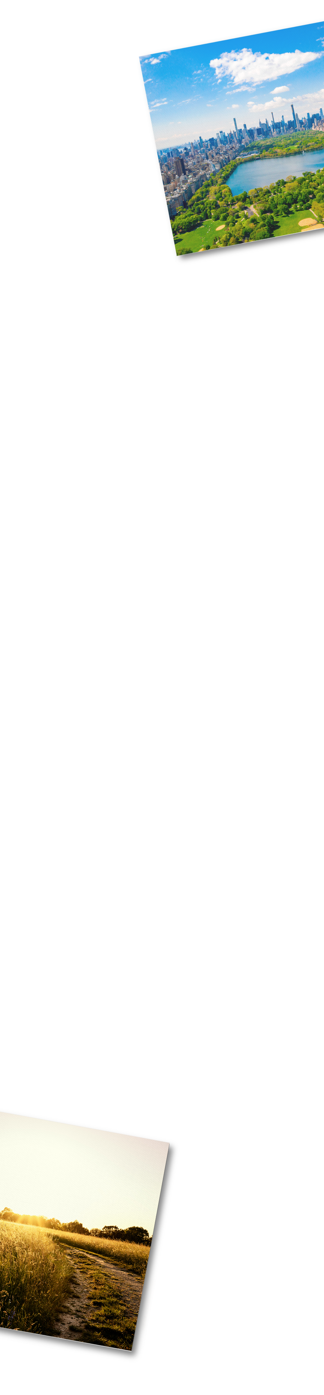 intro-banner