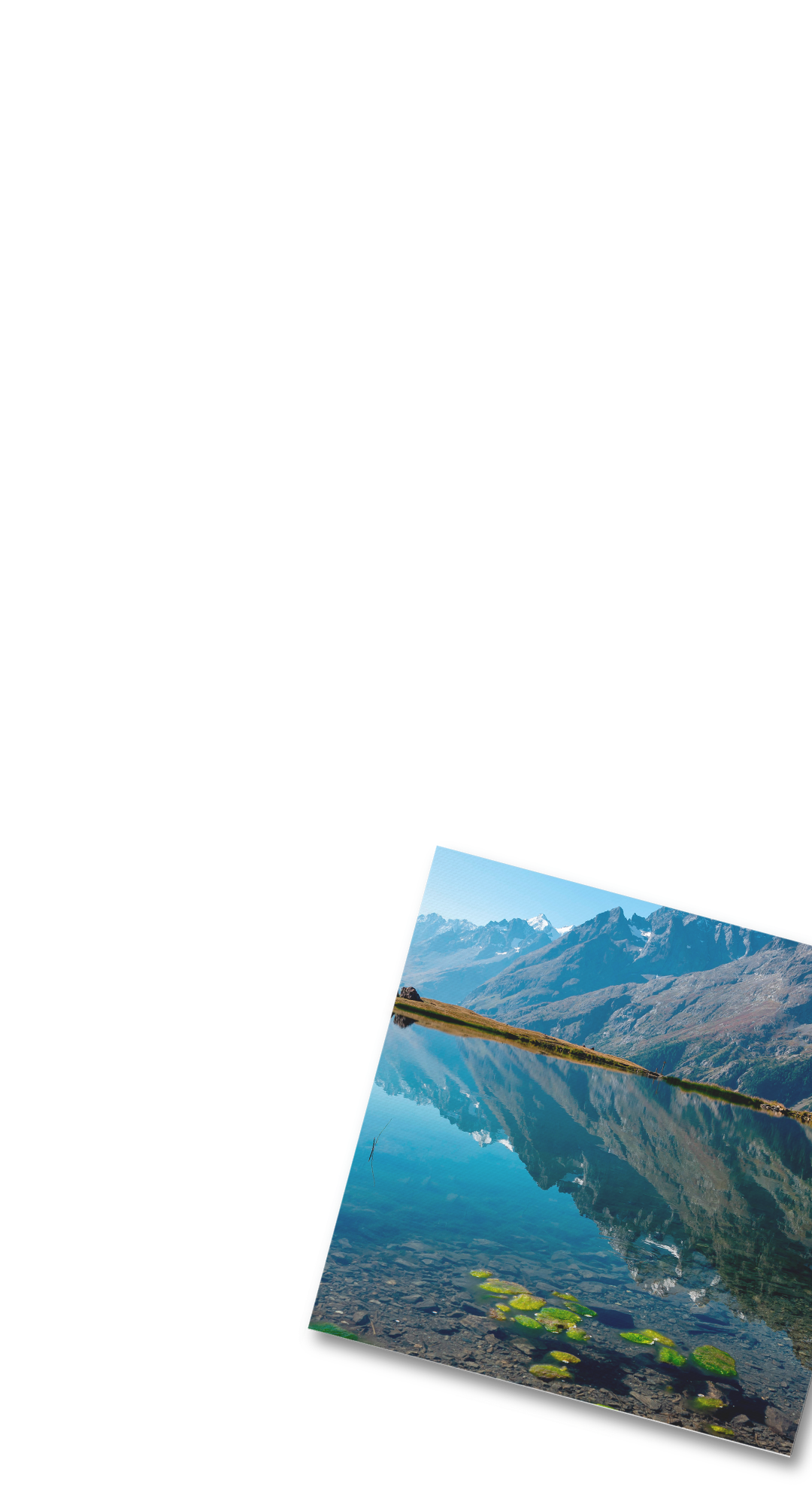 intro-banner